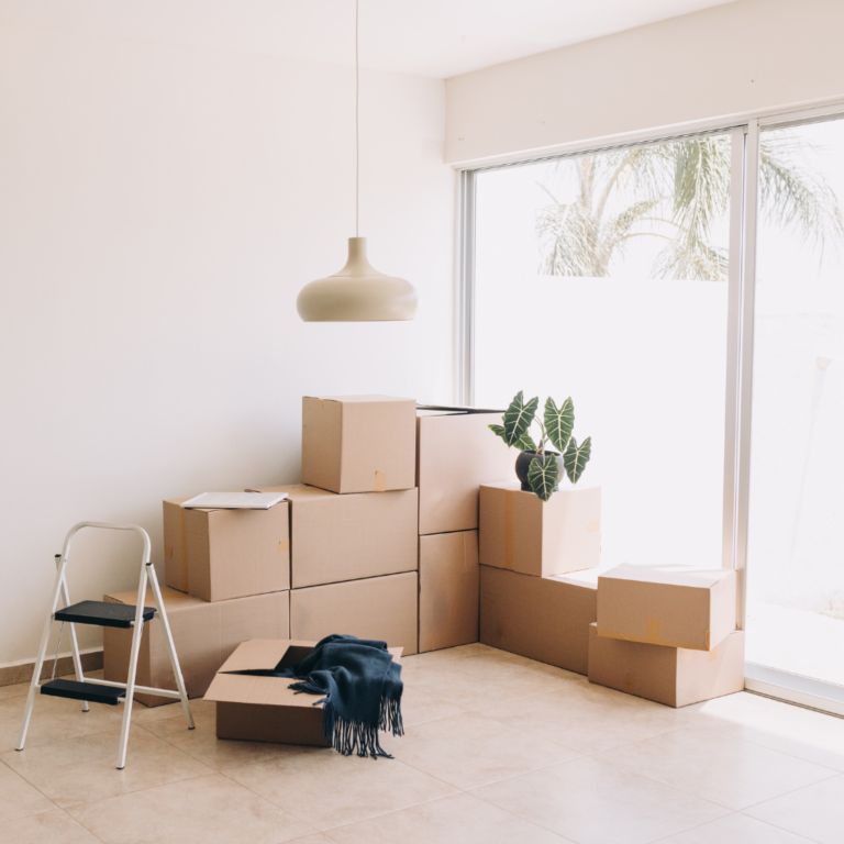mover and packers